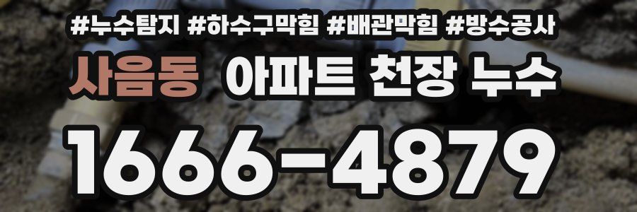 사음동 아파트 천장 누수