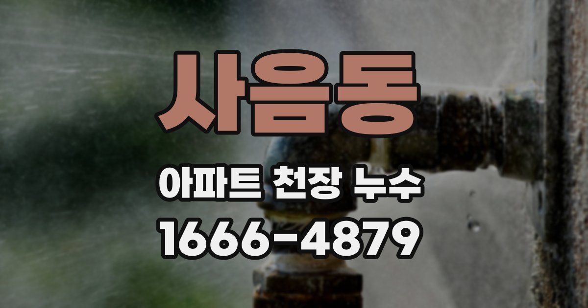 사음동 아파트 천장 누수