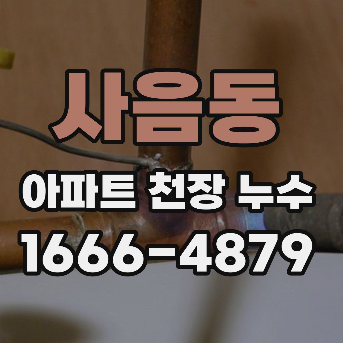 사음동 아파트 천장 누수