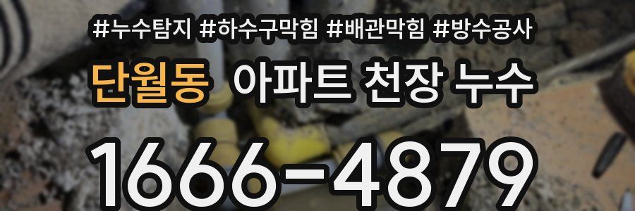 단월동 아파트 천장 누수