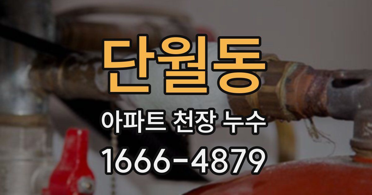 단월동 아파트 천장 누수