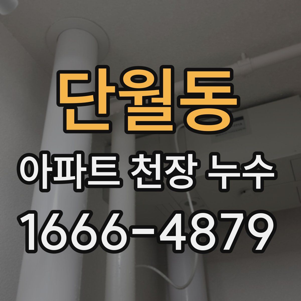 단월동 아파트 천장 누수
