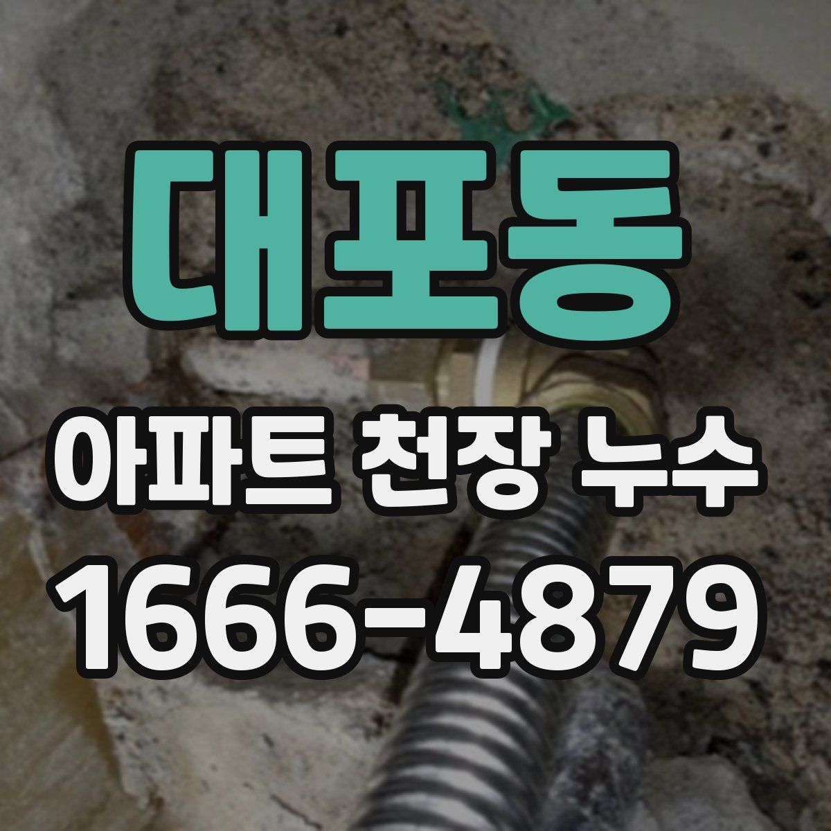 대포동 아파트 천장 누수