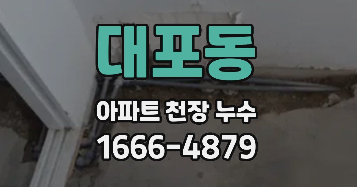 대포동 아파트 천장 누수