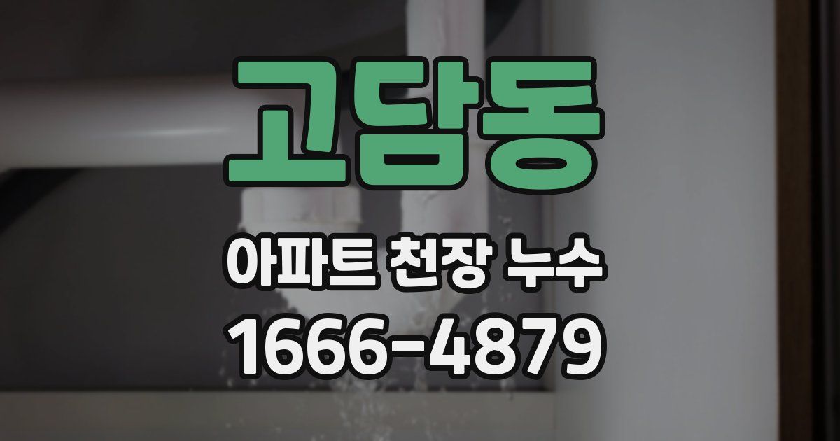 고담동 아파트 천장 누수