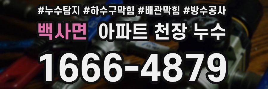 백사면 아파트 천장 누수