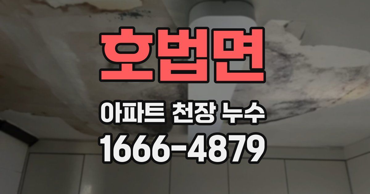 호법면 아파트 천장 누수