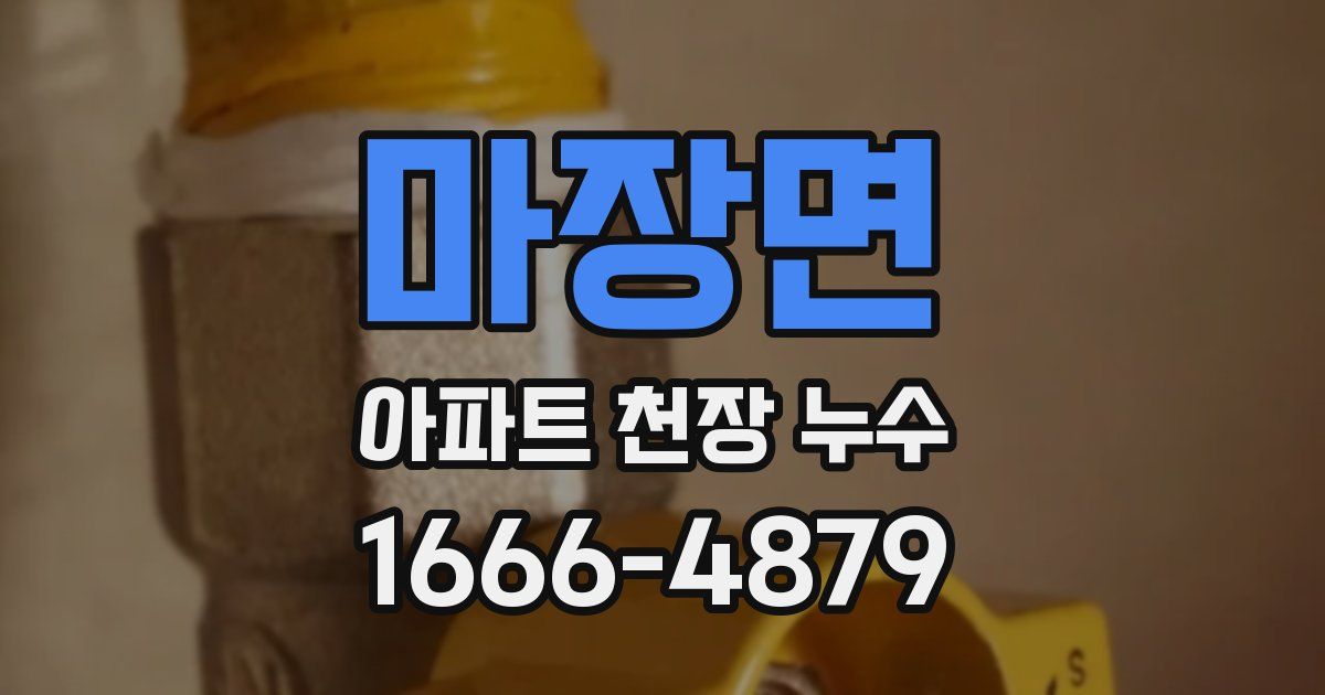 마장면 아파트 천장 누수