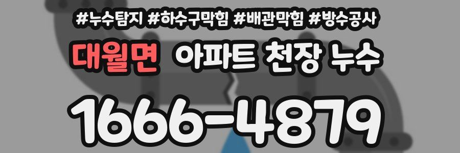 대월면 아파트 천장 누수