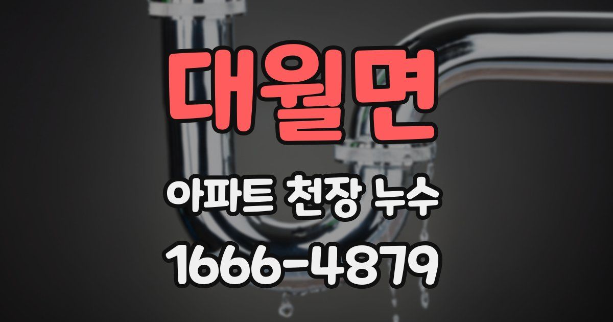 대월면 아파트 천장 누수