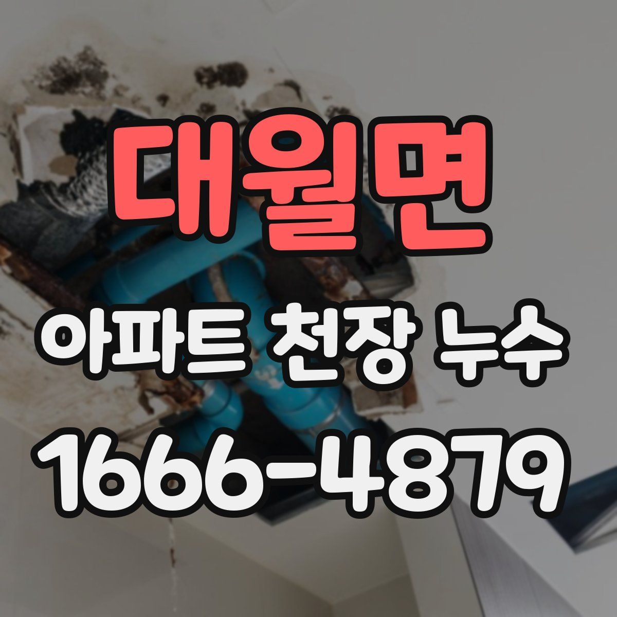 대월면 아파트 천장 누수