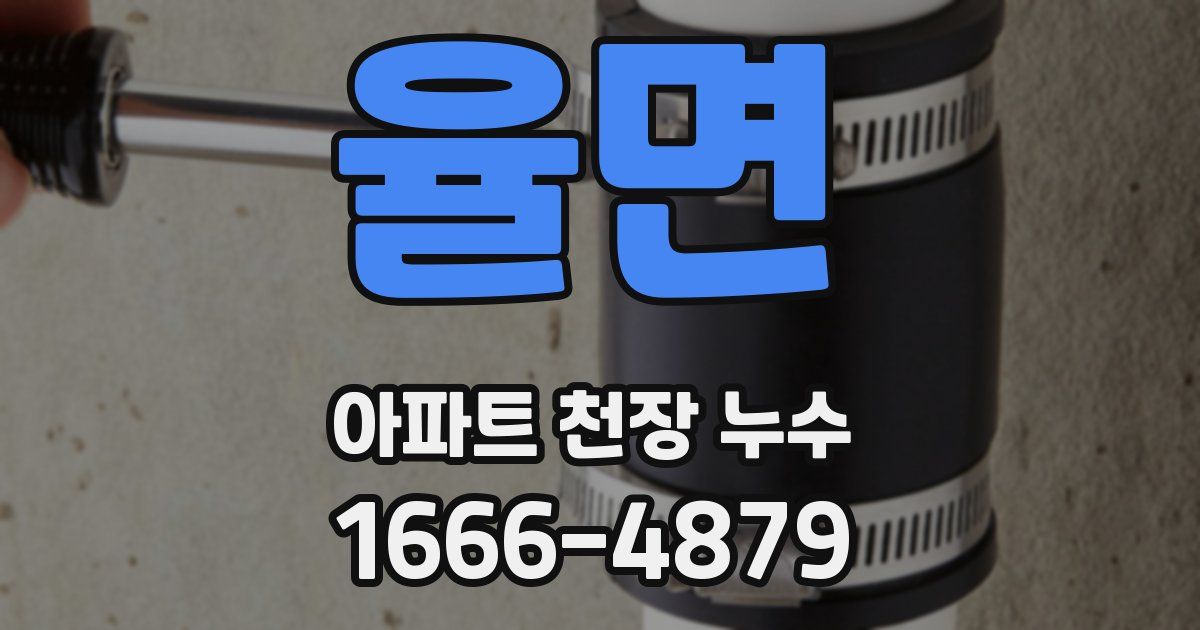 율면 아파트 천장 누수
