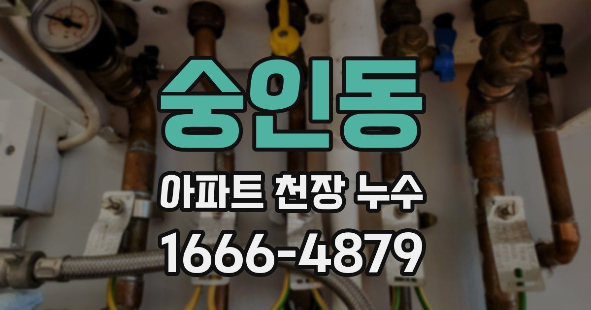 숭인동 아파트 천장 누수
