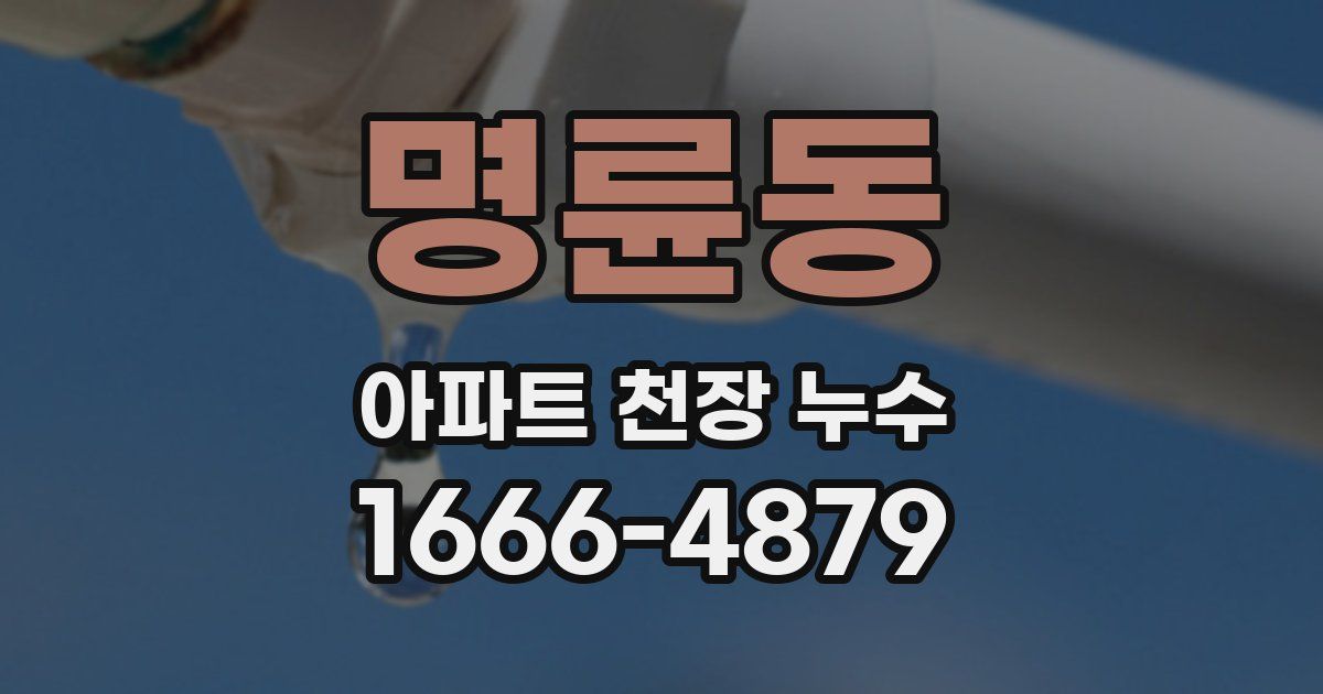 명륜동 아파트 천장 누수