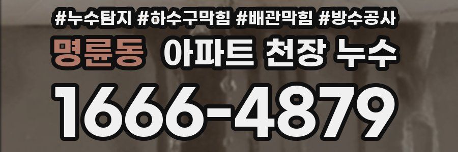명륜동 아파트 천장 누수