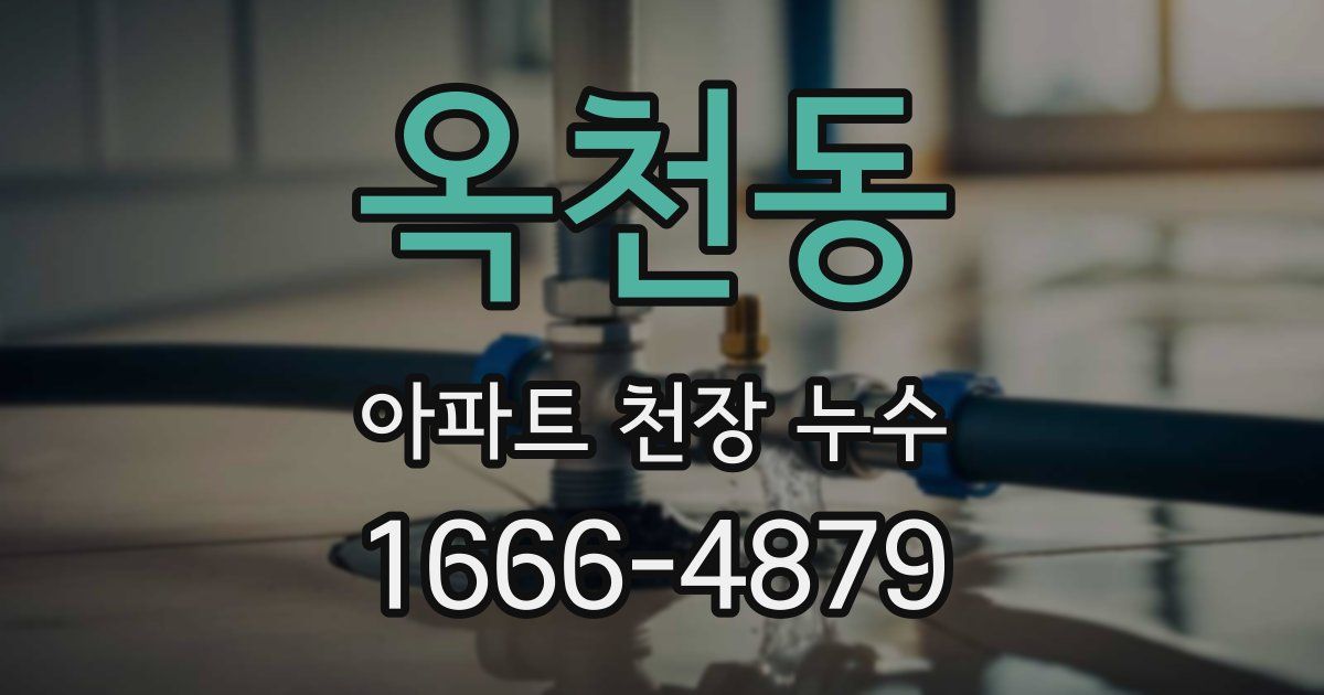 옥천동 아파트 천장 누수