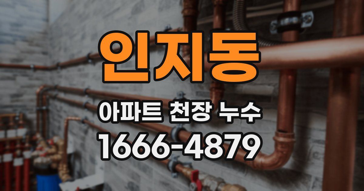 인지동 아파트 천장 누수
