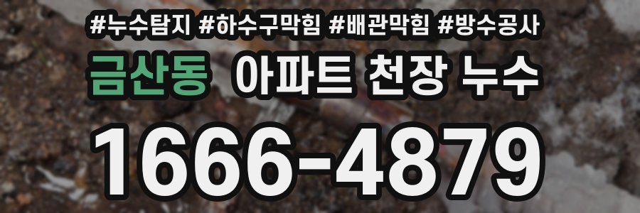 금산동 아파트 천장 누수
