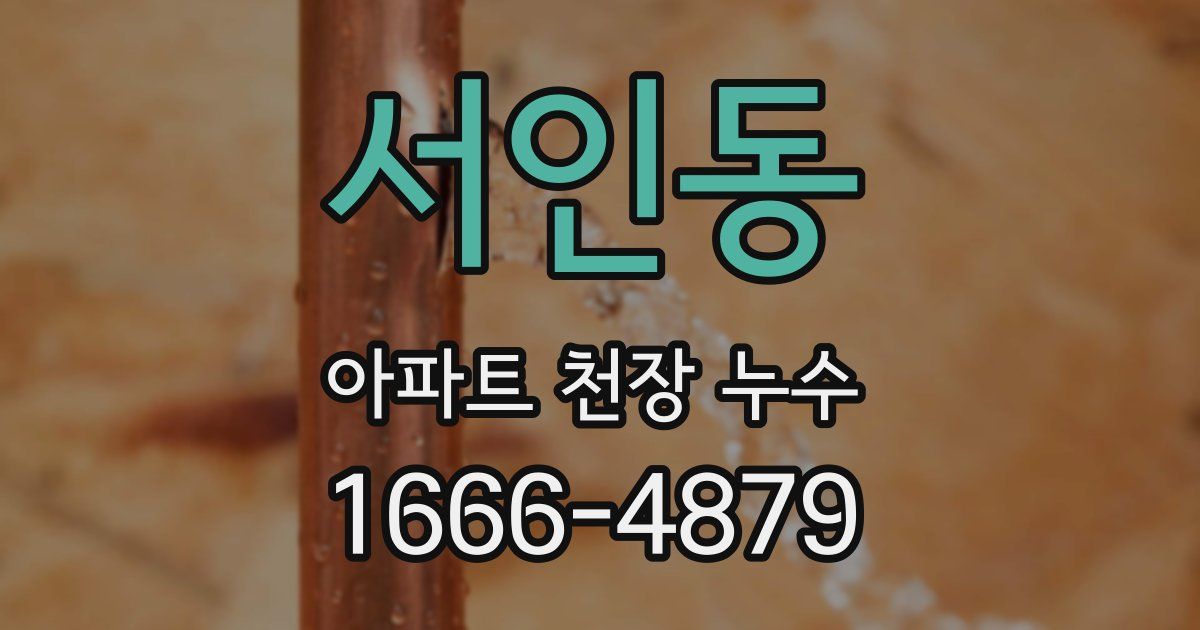 서인동 아파트 천장 누수