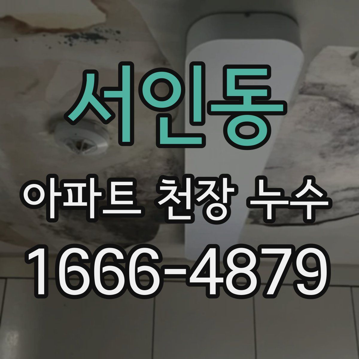 서인동 아파트 천장 누수