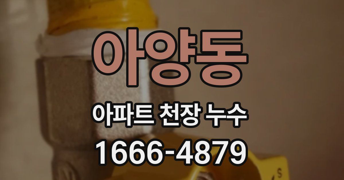 아양동 아파트 천장 누수