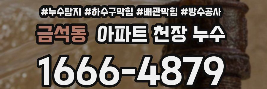 금석동 아파트 천장 누수