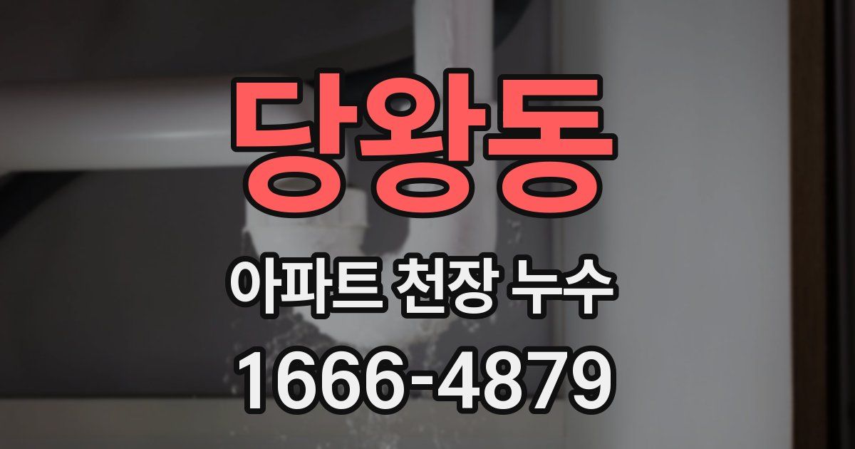 당왕동 아파트 천장 누수