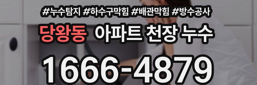 당왕동 아파트 천장 누수