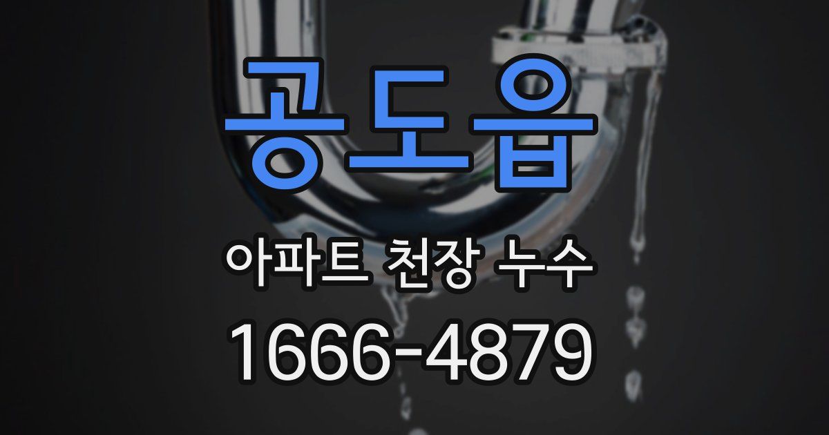 공도읍 아파트 천장 누수