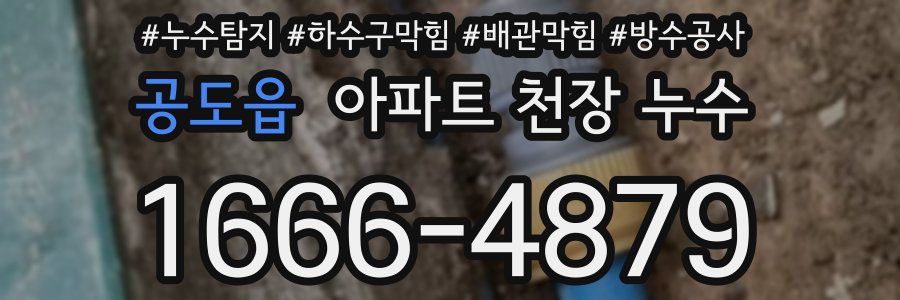공도읍 아파트 천장 누수