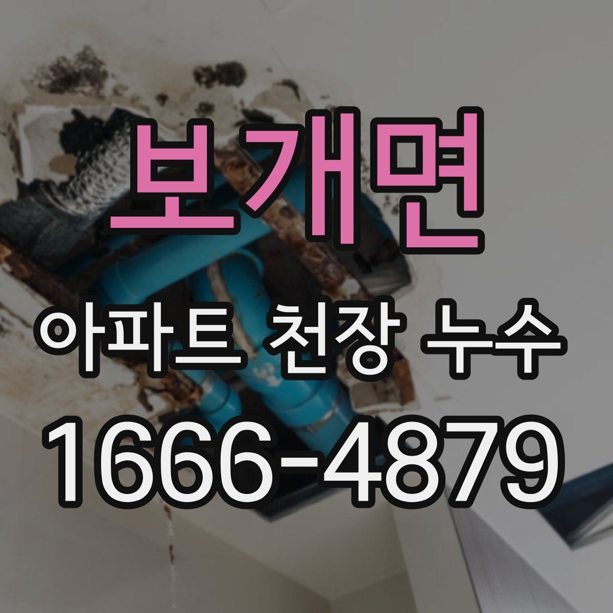 보개면 아파트 천장 누수