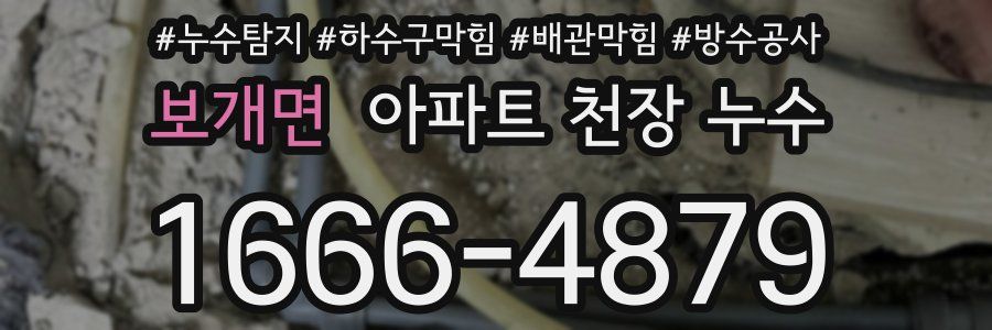 보개면 아파트 천장 누수