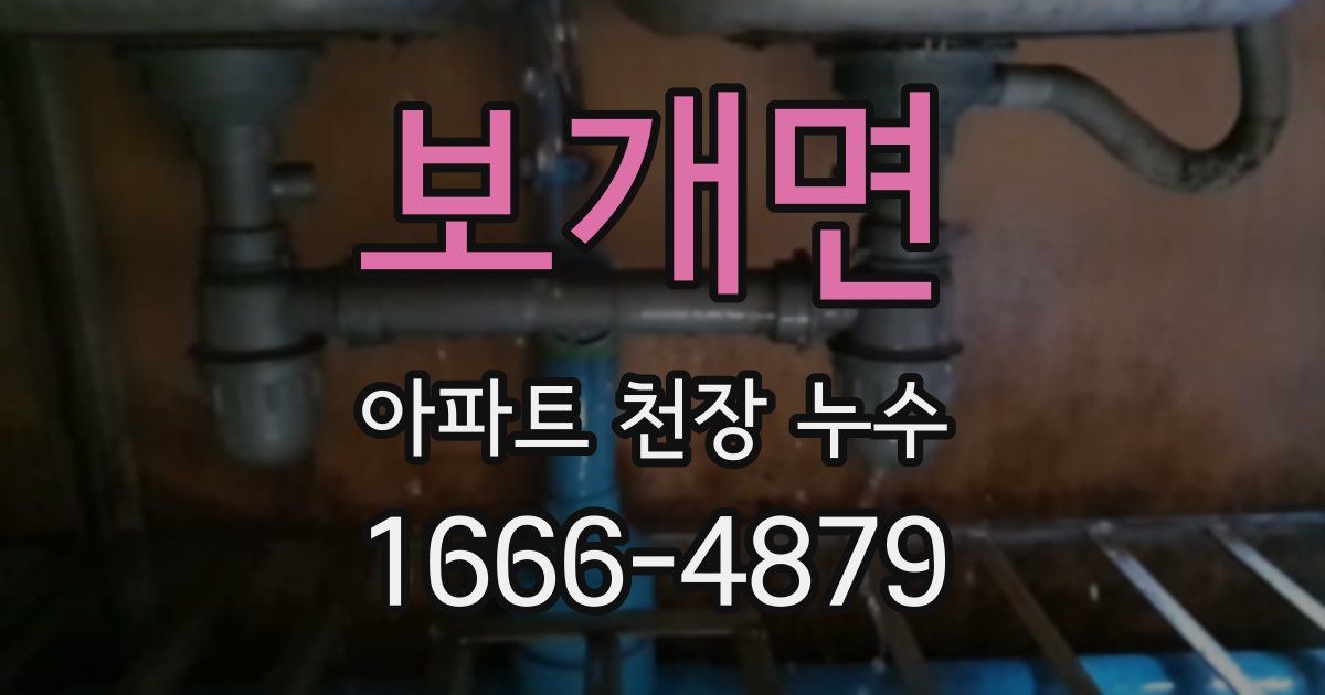 보개면 아파트 천장 누수