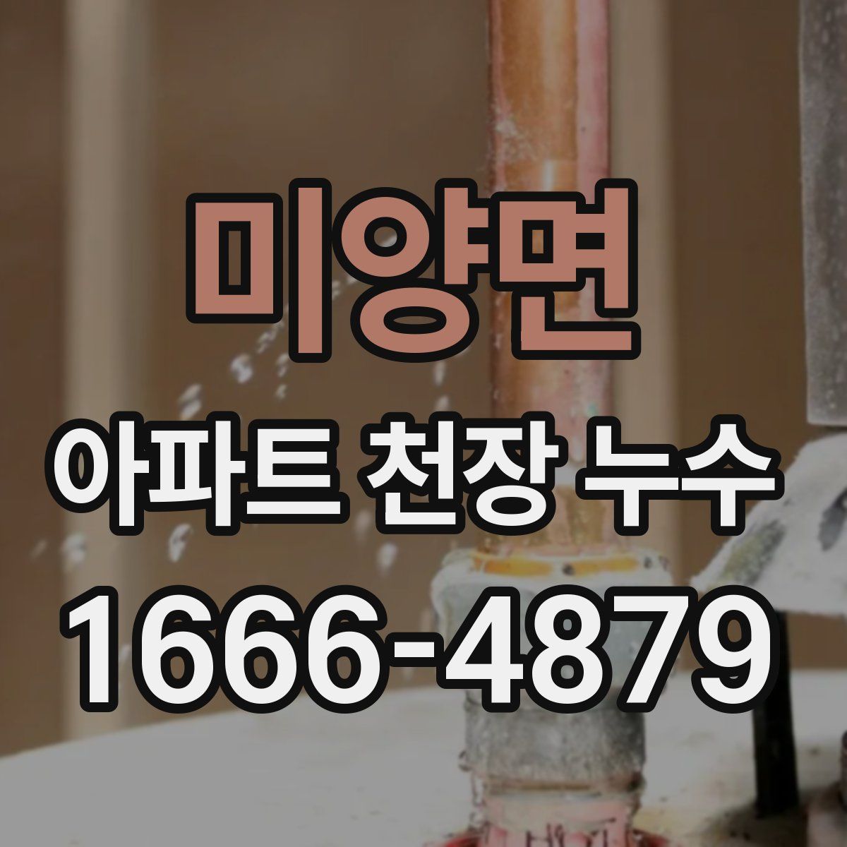 미양면 아파트 천장 누수