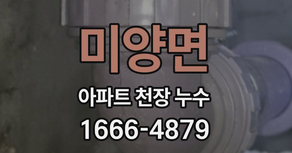 미양면 아파트 천장 누수