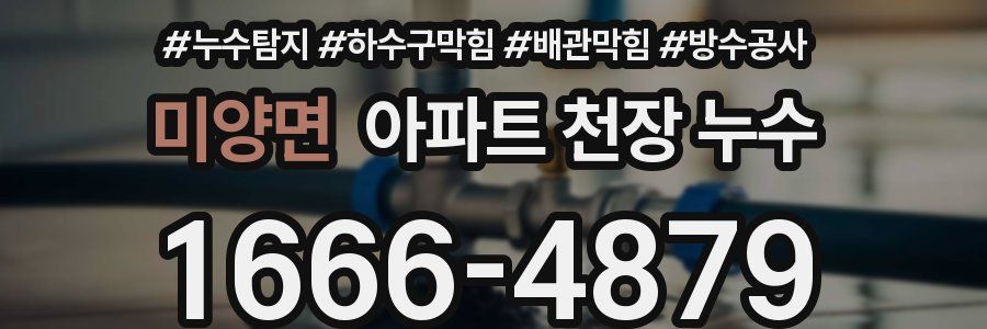 미양면 아파트 천장 누수