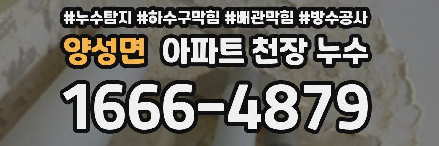 양성면 아파트 천장 누수