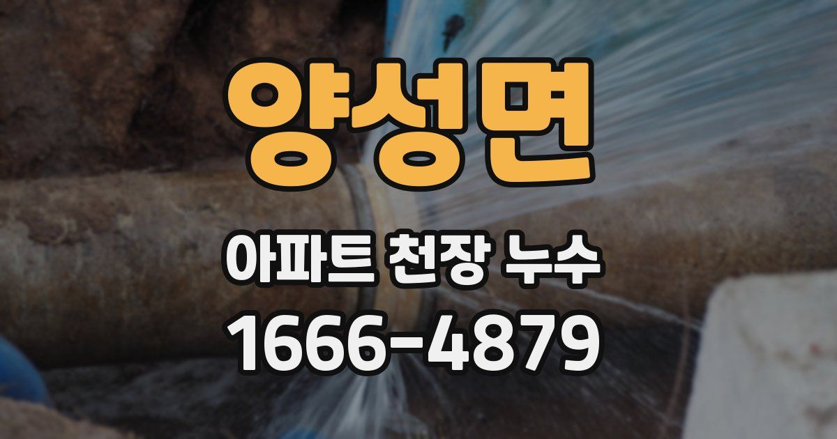 양성면 아파트 천장 누수