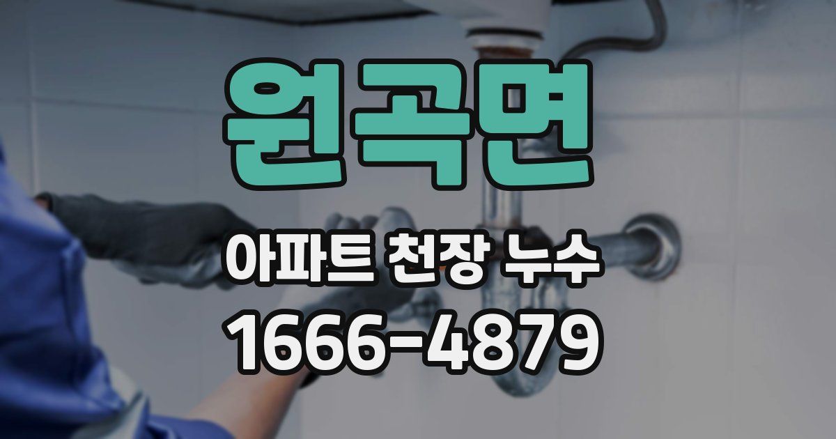 원곡면 아파트 천장 누수