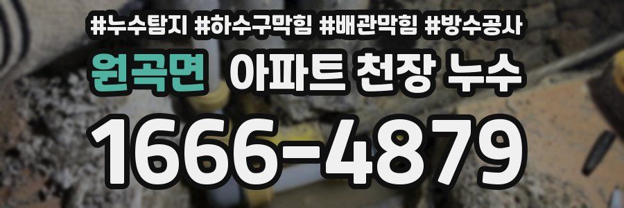 원곡면 아파트 천장 누수