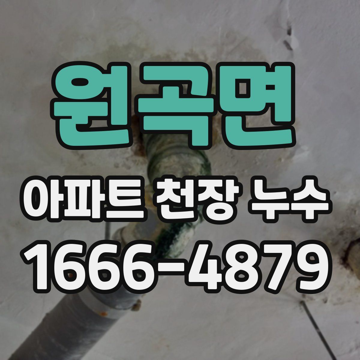 원곡면 아파트 천장 누수