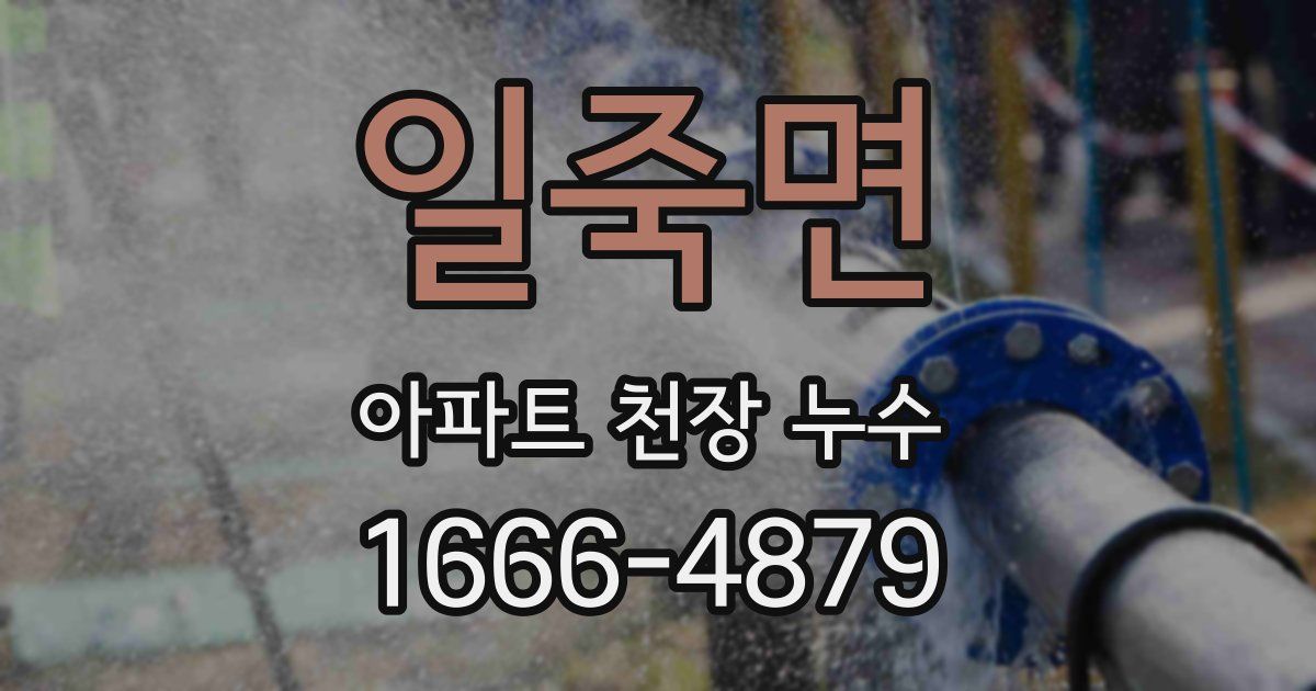 일죽면 아파트 천장 누수