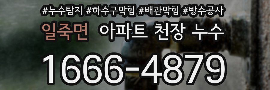일죽면 아파트 천장 누수