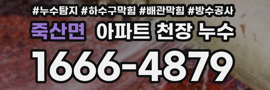 죽산면 아파트 천장 누수