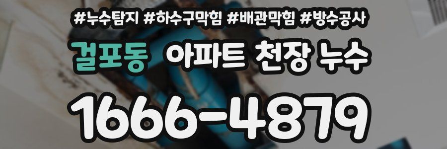 걸포동 아파트 천장 누수