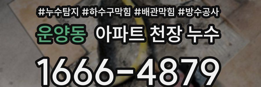 운양동 아파트 천장 누수
