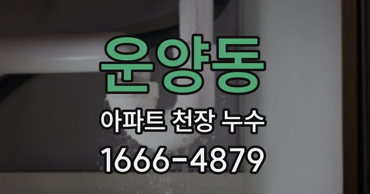 운양동 아파트 천장 누수