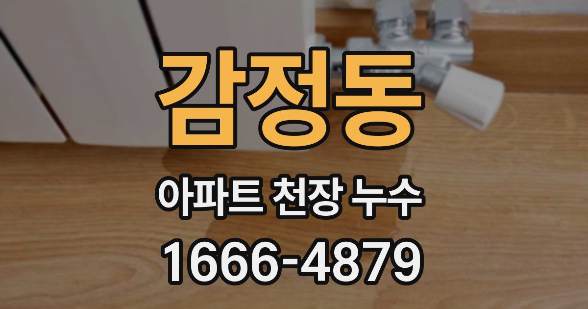 감정동 아파트 천장 누수