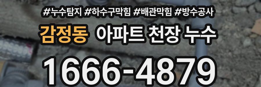감정동 아파트 천장 누수