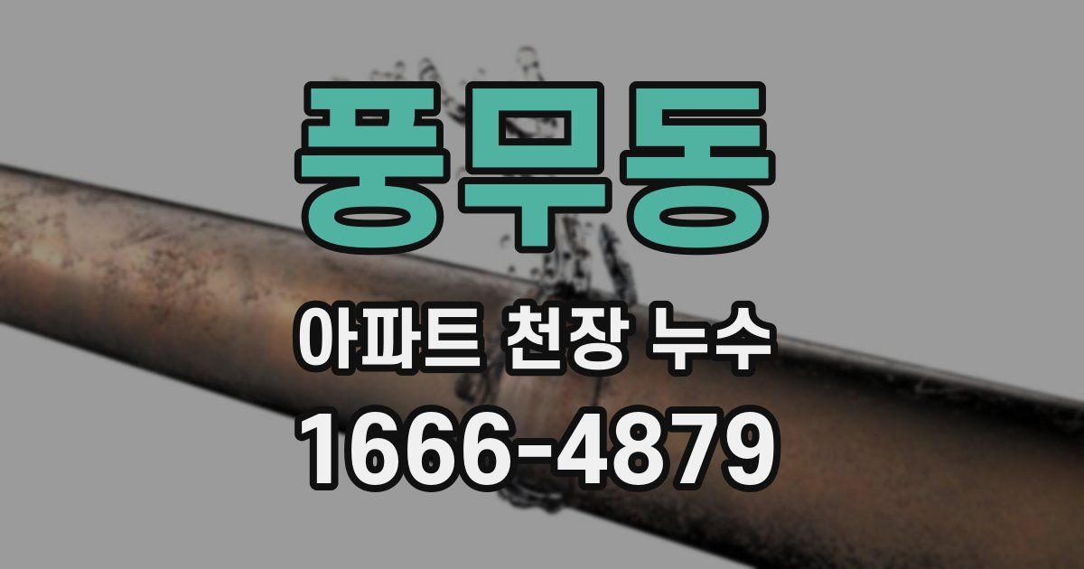 풍무동 아파트 천장 누수